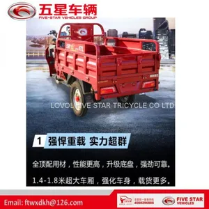 Gasoline Tricycle Cargo Loader Lovol Three Wheeler Mali Ethiopia Ghana Bukina Faso Tanzania Kenya Senegal Togo Benin Nigeira Mauritania Angola Burundi Chad Cameroon C ô te D'Ivoire Gabon Guinea Mozambique Rwanda Congo Uganda Zimbabwe thumbnail-3