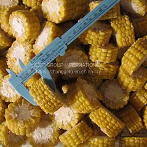 Frozen IQF Frozen Cut Corn thumbnail-1