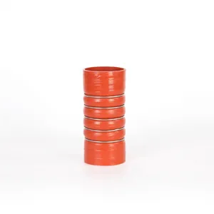Silicone CAC Hose thumbnail-1