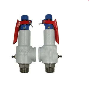 Spring Steam Safety Valve Boiler Air Tank Thread Pressure Relief Safety Valve thumbnail-5