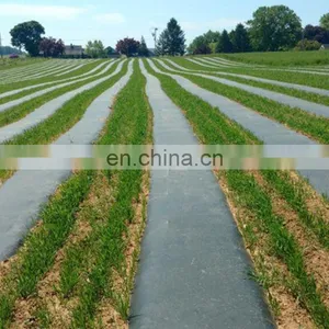 China Factory Manufacture Landscape Fabric Green Ground Cover Plastic Mulch Film thumbnail-5