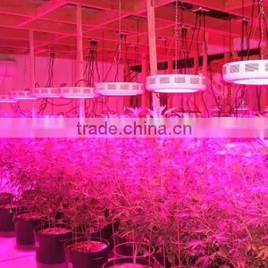 High Power 50W 75W Led Grow Light for Tomato Spinach thumbnail-2