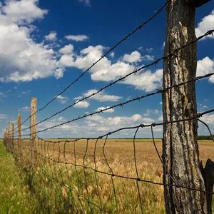 Crafts Fences Animal Deterrents Bird Feeders Gardens Real Barbed Wire Farm Fence Roll thumbnail-2