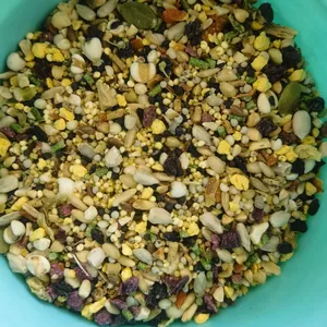 Husk-Free Food Specially for Parrots thumbnail-4