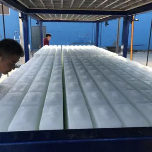 Linsky 20Ton/24hr Industrial Ice Block Making Equipment thumbnail-1