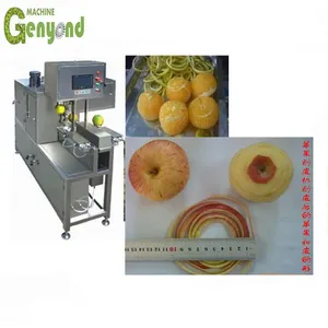 Core Components PLC Gear Pump Motor-Fruit and Vegetable Chips Making Machine thumbnail-5