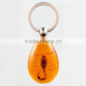Real Insect Keychain With Scorpion thumbnail-3