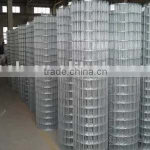 Welded Wire Mesh thumbnail-1