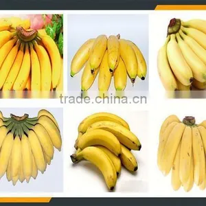 Leader Fruit Banana Peeling Machine Whatsapp:+8618336073732 thumbnail-6