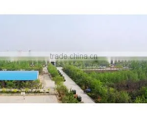 Luoyang Lutong Heavy Industry Machinery Co., Ltd. company overview - view 3 thumbnail