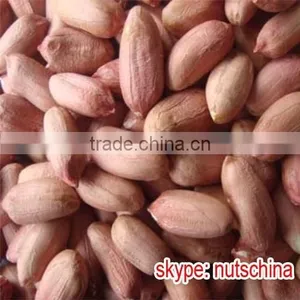 Blanched Peanuts 25/29 29/33 thumbnail-5