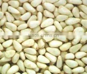 Red Pine Nut Kernels thumbnail-1