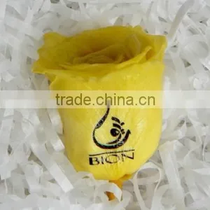 Digital Red Rose Printer,printe White Ink on Flowers,beautiful Flower Printer thumbnail-5