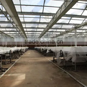 Commercial -Agricultural Polycarbonate Greenhouse thumbnail-5