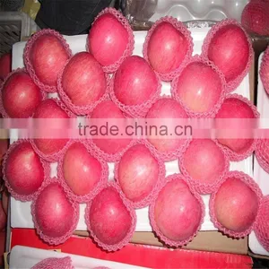 2015 New Crop Fresh Red Star Apples Fruit thumbnail-3