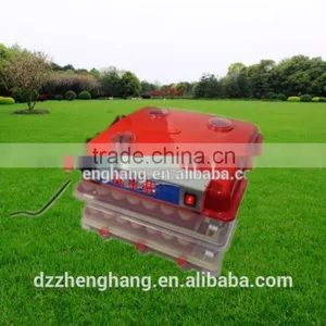 Solar Power Egg Incubator/hatcher Cheap Poultry Egg Incubators Prices thumbnail-1
