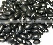 Canned Black Kidney Beans in Brine thumbnail-1