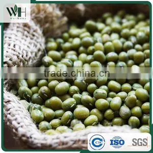 AMA Certified Green Mung Bean thumbnail-5