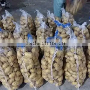 Supreme Quality Potato for Russia & Ukraine thumbnail-1