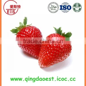For Sale High Quality Whole Strawberry thumbnail-6