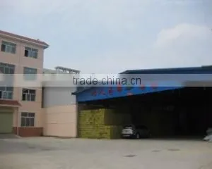 Tianshui Desun Fruits & Vegetables Import & Export Co., Ltd. company overview - view 2 thumbnail