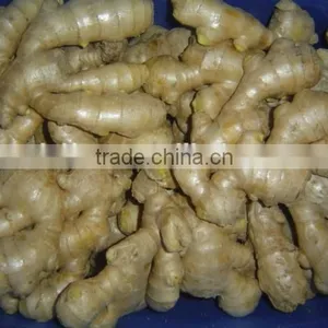 Fresh Washed Ginger thumbnail-4