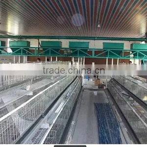 Factory Hot-sale High Quality Layer Quail Cages for Sale in Poultry Farm thumbnail-4