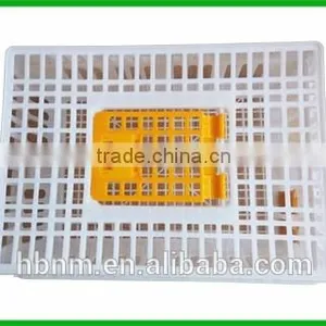 HB High Quality Customized Chicken Transport Cage,wholesale Plastic Transport Cage thumbnail-3