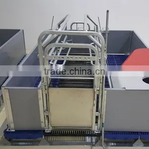 Pig Farrowing Crate for Sale thumbnail-3