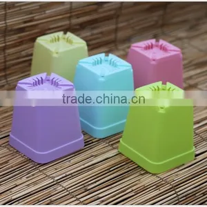 70mm Plastic Square Pot for Succulent Plants thumbnail-3