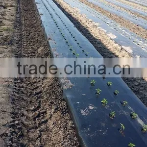 Chinese Automatic Vegetable Transplanter thumbnail-6