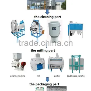High Efficiency Maize Flour Production Line Machines in Algeria thumbnail-4