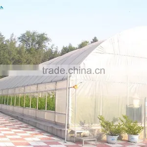 BaoLiDa Single Span Greenhouse thumbnail-4