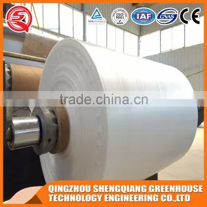 Multifunction Plastic Film Greenhouse for Agricultural Farming thumbnail-3