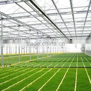 Galvanized Steel Structure pc Sheet Cover Used Commercial Greenhouses thumbnail-3
