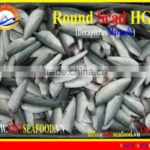 HGT FROZEN ROUND SCAD thumbnail-1