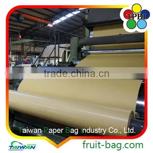 TPBI Cultivator Grow Protective Paper Bag Banana Growing Paper Bag thumbnail-2