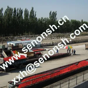 Tomato Paste Production Line With Treatment Capacity 350tons per Day thumbnail-5