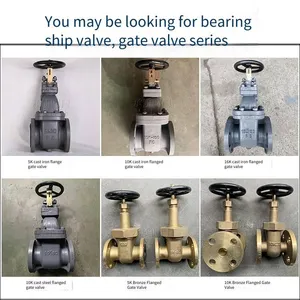 Chengzhi Jis F7366 Marine Japanese Standard Cast Steel 10k Gate Valve, Available With lr Classification Society Certificate thumbnail-5