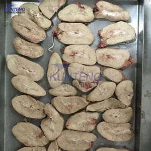 Low Temperature Freezing Pig Kidney Heart Liver Meat Lyophilize Freeze Dryer Dried Food Machine EPC thumbnail-3