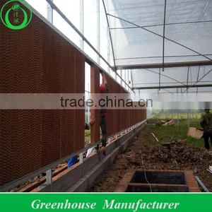 Greenhouse Products at Factory Price thumbnail-1