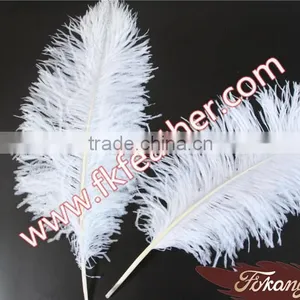 Natural Craft Feather Big White Ostrich Feather For Wedding And Party Decoration 60cm-65cm thumbnail-5