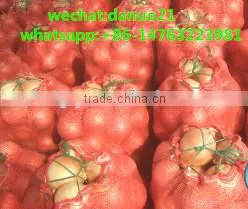 pp Mesh Bag for Onion, Vegetable Mesh Bag Wholesale,mesh Bag for Oranges thumbnail-1