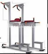 Fitness Equipment Vertical Knee Raise T18-029 thumbnail-1