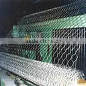 Hot Dipped PVC Coated Gabion Box Wire Mesh (Factory) , Galvanized Hexagonal Wire Mesh, Galvanized Welded Wire Mesh thumbnail-1