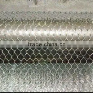 China Anping FAITHFUL Lowest Price Chicken Wire Mesh/chicken Wire Netting/hexagonal Wire Mesh thumbnail-2