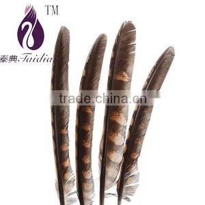 Chicken Feather Trims,pheasant Feather Ribbons/fringes for Cloth Accesory thumbnail-1