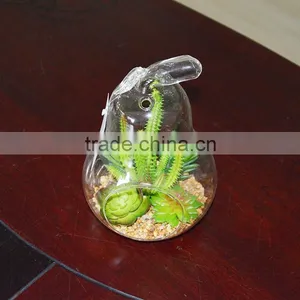 Indoor Flowering Cactus Succulent Glass Terrarium Vase Bonsai for Sale thumbnail-2