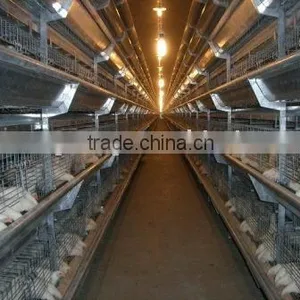 H Frame Broiler Raising Equipment thumbnail-1