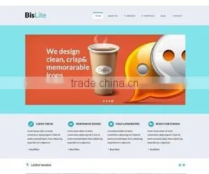 CMS Web Development Company thumbnail-6